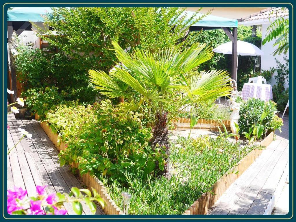 Appartamento Les Embruns Mimizan-Plage Esterno foto